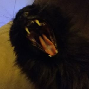 Meet your Posher, Claire